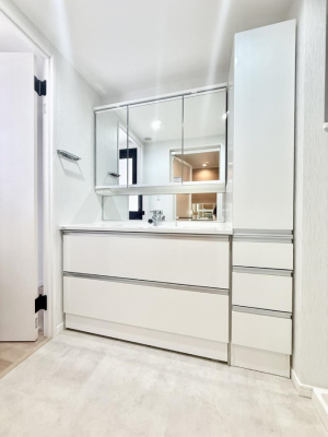 ���ʑ�E���ʏ� ���������̏������X���[�Y�ɂł���L���ł�