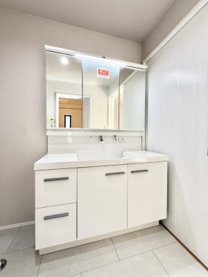 ���ʑ�E���ʏ� ���������̏������X���[�Y�ɂł���L���ł�