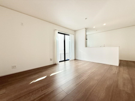 ���̑����� ����