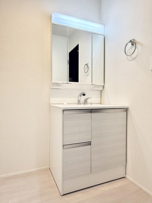 ���ʑ�E���ʏ� ���������̏������X���[�Y�ɂł���L���ł�