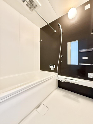 ���� �����������������F�����̕ǖʁA������芰����o�X���[��