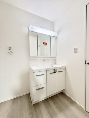 ���ʑ�E���ʏ� �������������Ő������̂�����ʏ�