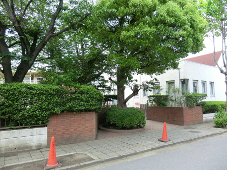 ���ӊ� �c�t���E�ۈ牀 800m ���܂���c�t��