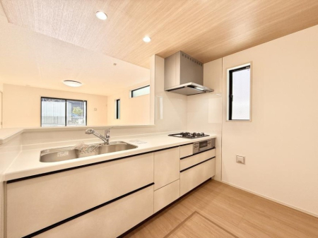 �L�b�`�� �������L���C�ɕЕt���A�g���₷���L�b�`��