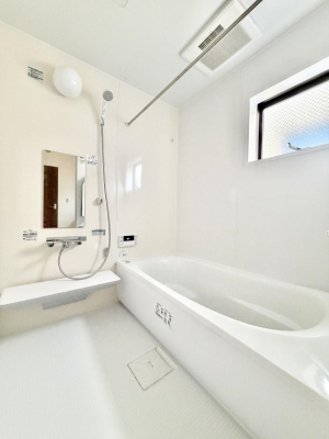 ���� ����