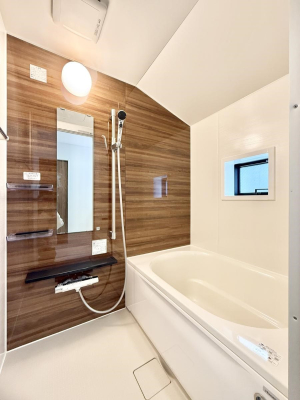 ���� ����