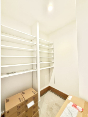 ���[ ����