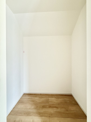 ���̑� �������v���X���̎��[�X�y�[�X  