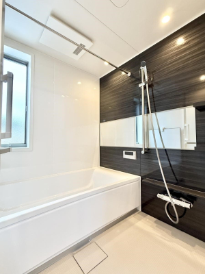 ���� �����������������F�����̕ǖʁA������芰����o�X���[��