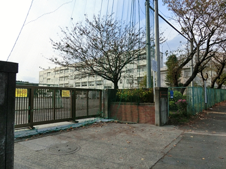 ���ӊ� ���w�Z 900m ���l�s���l�G�̐X���w�Z