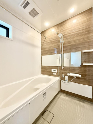 ���� �����������������F�����̕ǖʁA������芰����o�X���[��