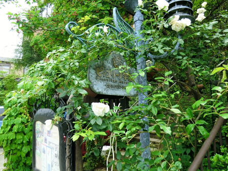 ���ӊ� �c�t���E�ۈ牀 900m �s�b�R���[�m�w��