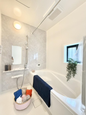 ���� �������������A������芰����o�X���[��