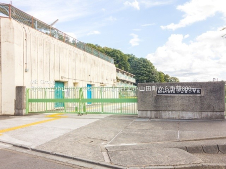 ���ӊ� ���w�Z 500m ���c�s�����R�c���w�Z