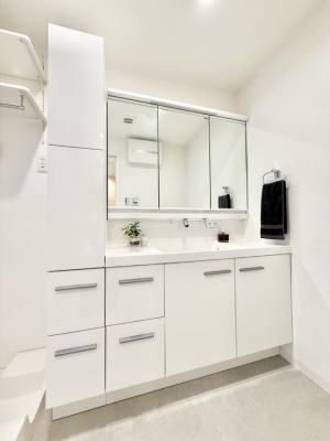 ���ʑ�E���ʏ� ����