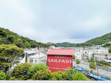 ���̑� ����