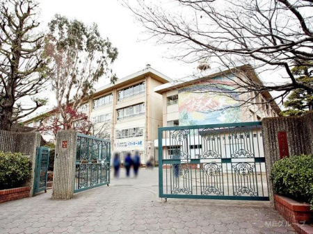 ���ӊ� ���w�Z 2000m ���s���L�n���w�Z