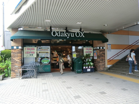 ���ӊ� �X�[�p�[ 871m Odakyu OX ����X