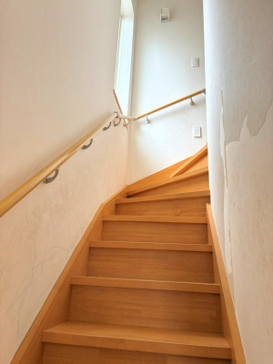 ���̑� ����