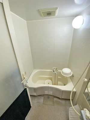 ���� ����