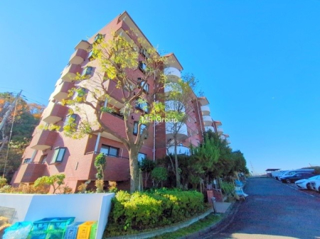 ���n�O�ώʐ^ �O��