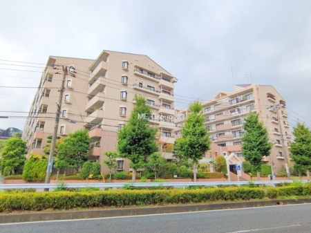 ���n�O�ώʐ^ �O��