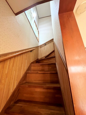 ���̑� ����