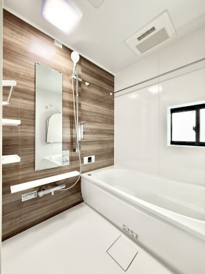 ���� ����