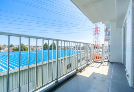 �o���R�j�[ ����