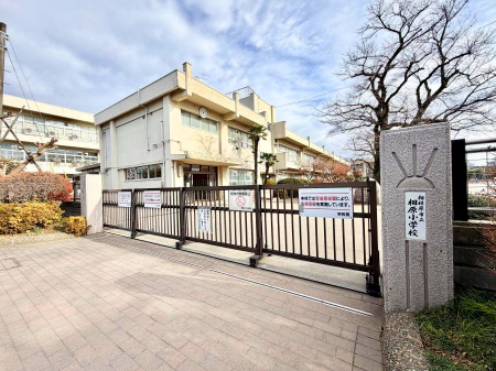 ���ӊ� ���w�Z 500m ���c�s���������w�Z