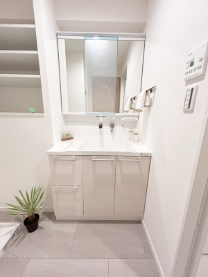 ���ʑ�E���ʏ� ���������̏������X���[�Y�ɂł���L���ł�