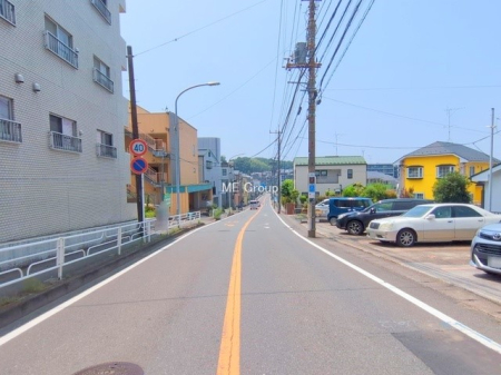 ���n�O�ώʐ^ �O��