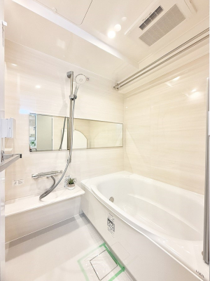 ���� �������������A������芰����o�X���[��