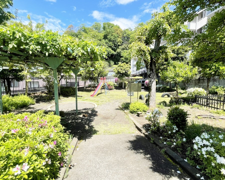 ���̑� �O�ρ��~�n���Ɍ������I���q�l�̗V�яꂪ�g�߂ɂ���A�q��ĉƑ��ɗD�����Z��