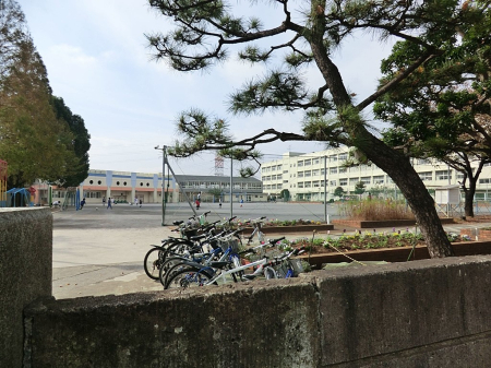 ���ӊ� ���w�Z 450m ���l�s������]���u���w�Z