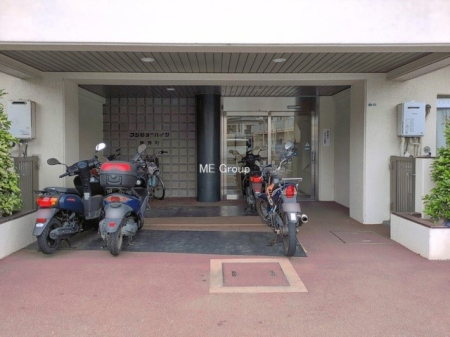 �G���g�����X �O��