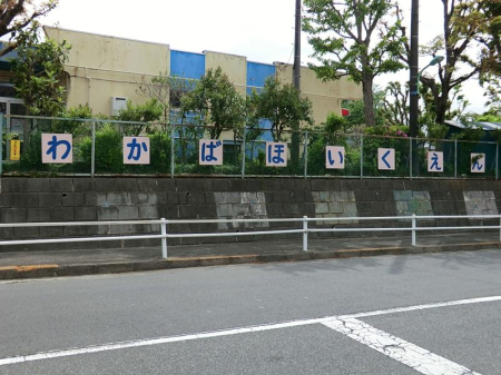 ���ӊ� �c�t���E�ۈ牀 300m �킩�Εۈ牀