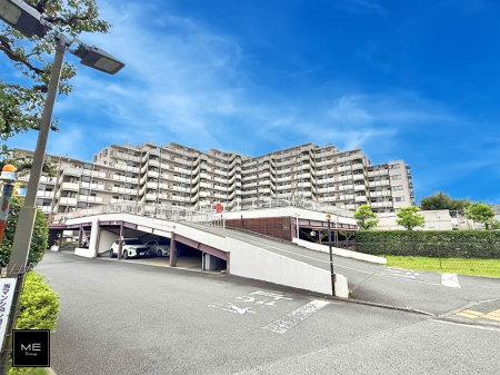 ���n�O�ώʐ^ �O�ρ��D��ȃ��C�����A�������������Ă܂�