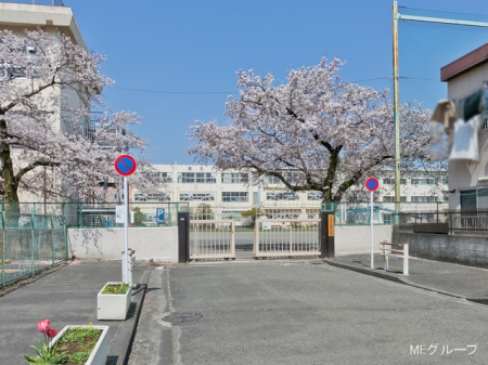 ���ӊ� ���w�Z 400m �����q�s����܏��w�Z