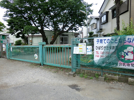 ���ӊ� �c�t���E�ۈ牀 500m ���Ԏs���Ђ΂肪�u�ۈ牀