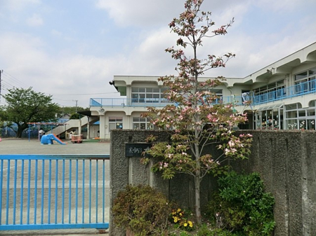 ���ӊ� �c�t���E�ۈ牀 900m ���ۈ牀
