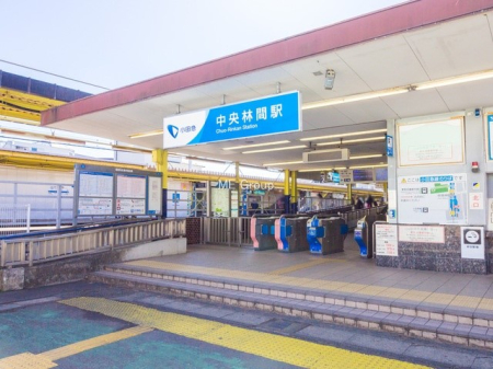 ���ӊ� �w 1600m ���c�}���E�c���s�s���u�����ъԁv�w