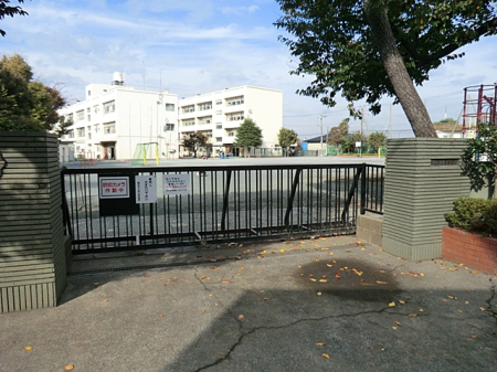 ӊ wZ 1000m lswZ(S~֗ȎqĊ)